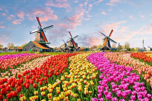 25 лучших достопримечательностей Нидерландов 2020 (ФОТО)