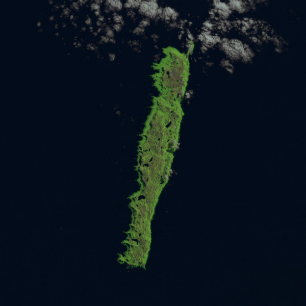 Остров Маккуори— место, где мантия Земли расположена над водой
