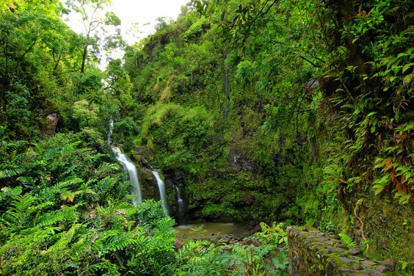 Сады острова Мауи
